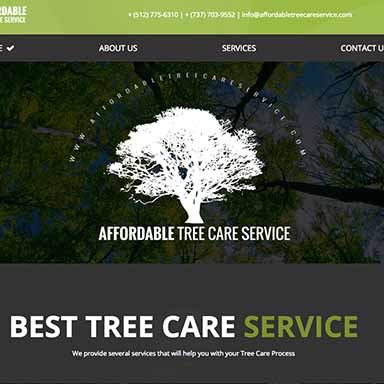 Affordable Tree Care Service